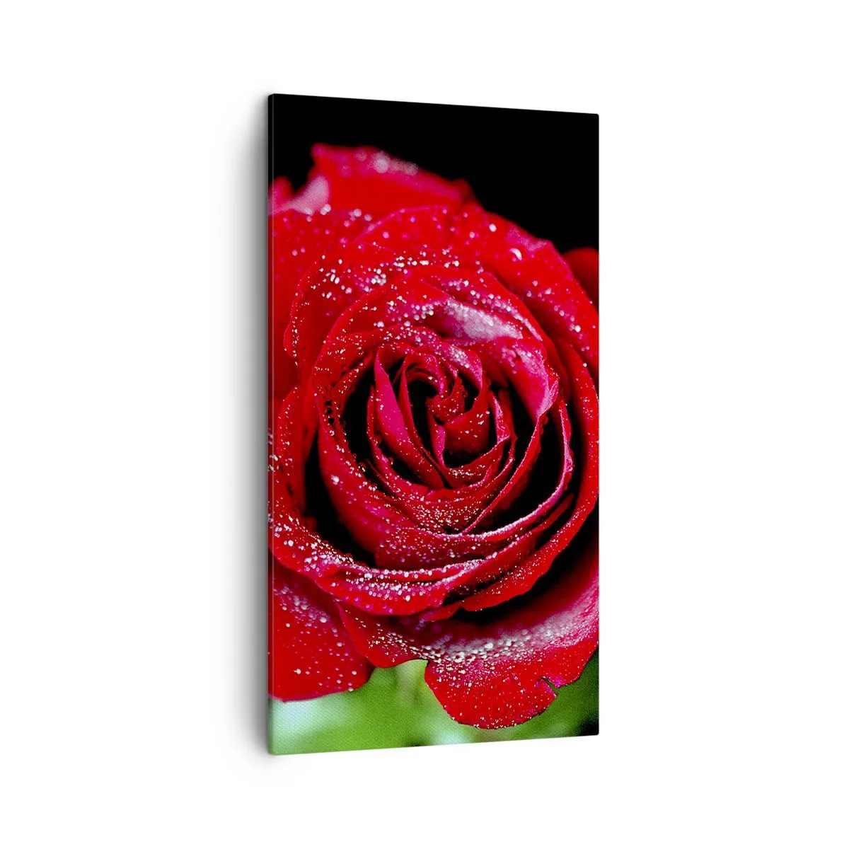 Bild auf Leinwand - Leinwandbild - Das ist Liebe - 45x80 cm