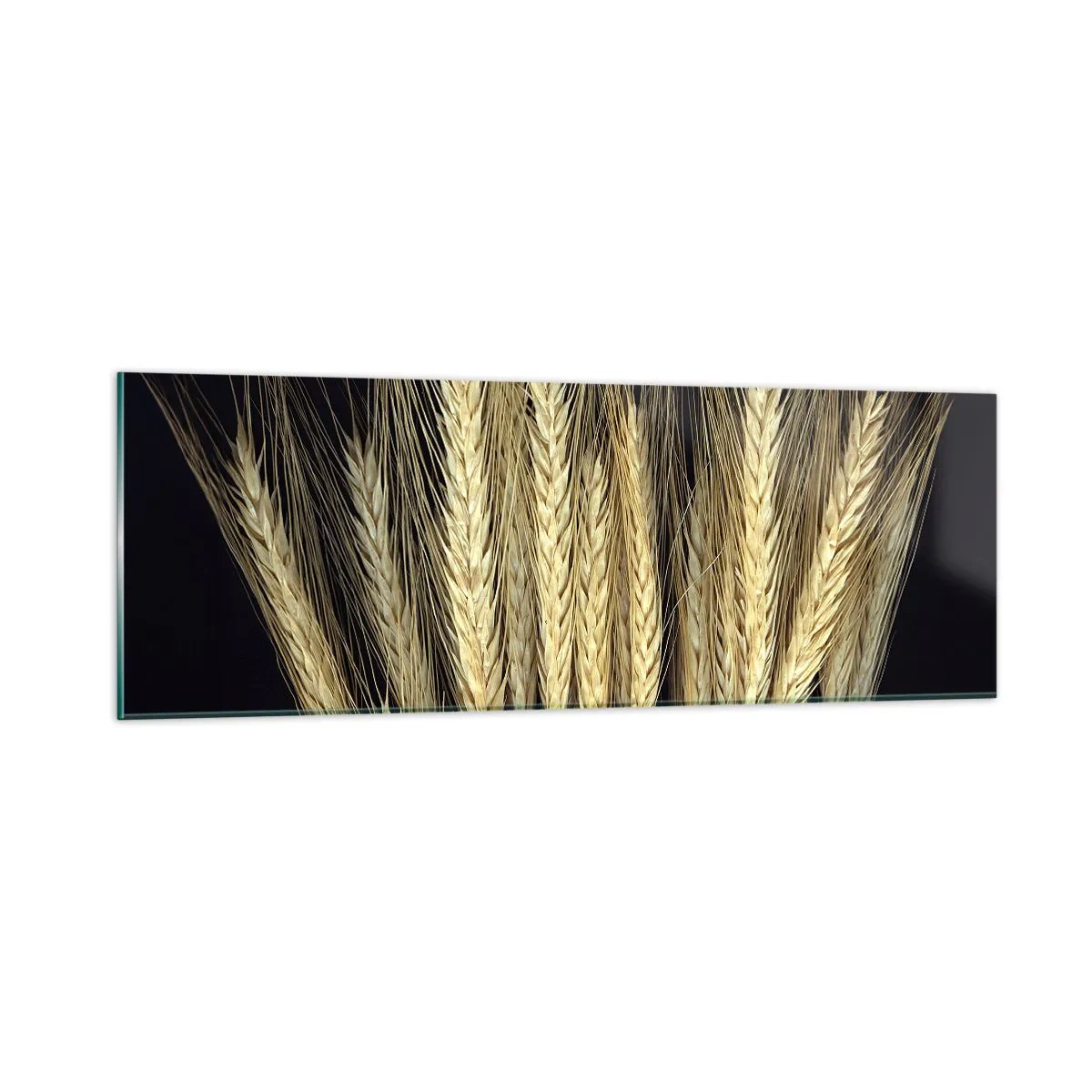 Glasbild - Bild auf glas - Rustikale Magie - 90x30 cm