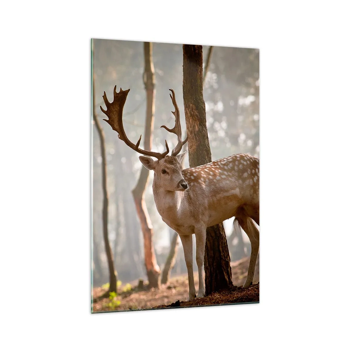 Glasbild - Bild auf glas - Hirsche im Wald im Morgennebel - 70x100cm - Das Licht der Jugend - Moderne Wanddekoration für Wohnzimmer und Schlafzimmer ARTTOR