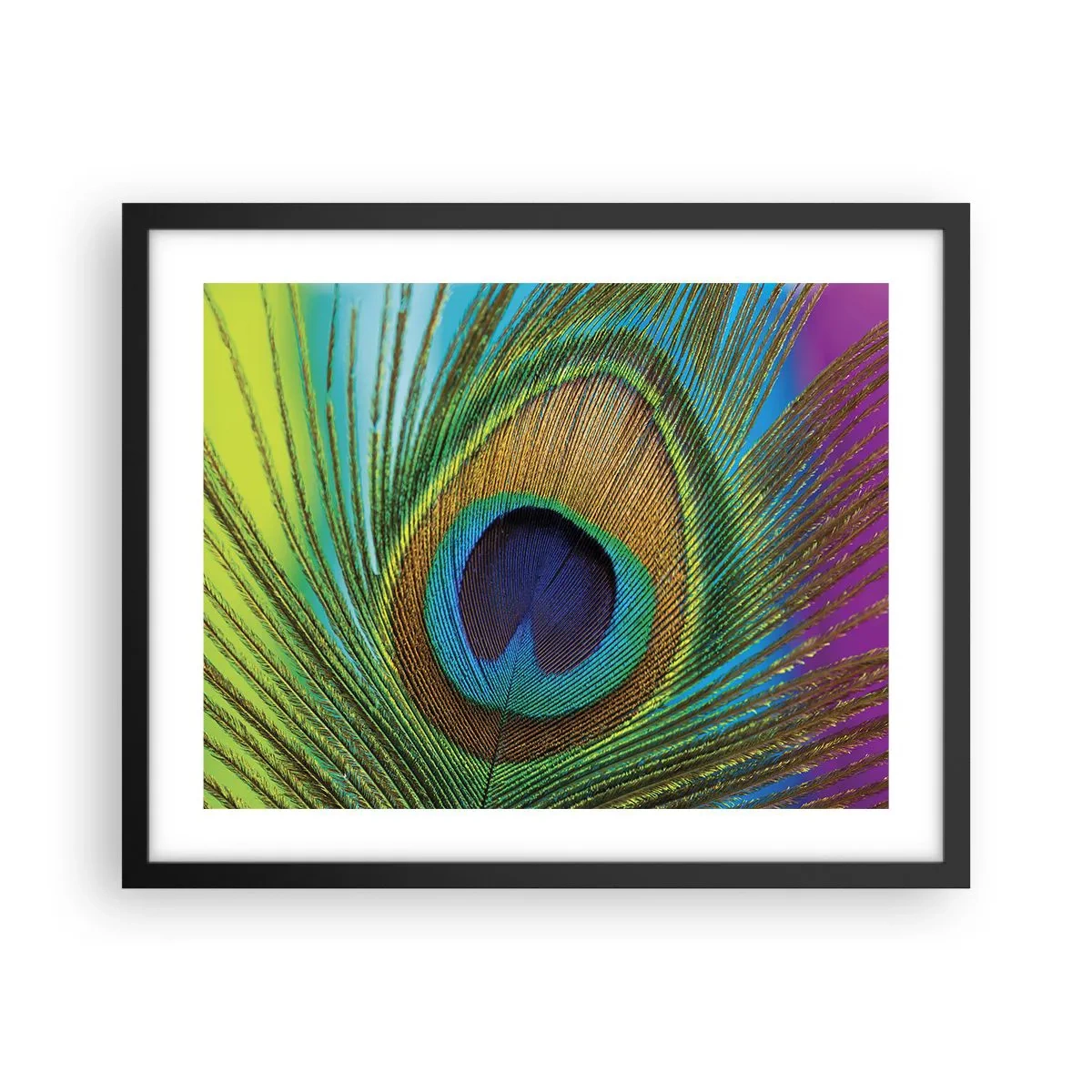 Poster in einem schwarzem Rahmen - Auge in Auge - 50x40 cm