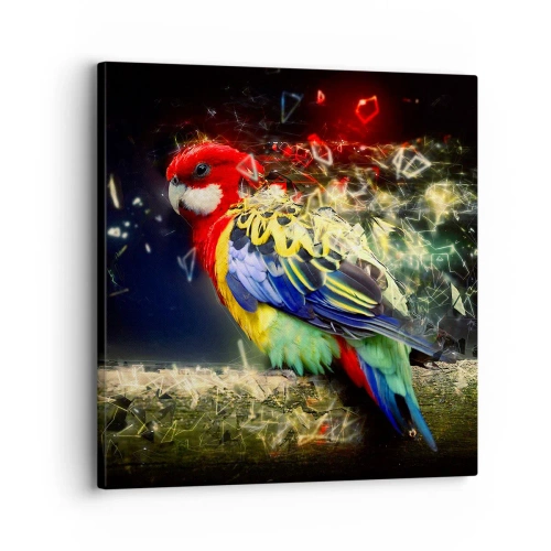 Bild auf Leinwand - Leinwandbild - Botschafter des Strahlens - 30x30 cm