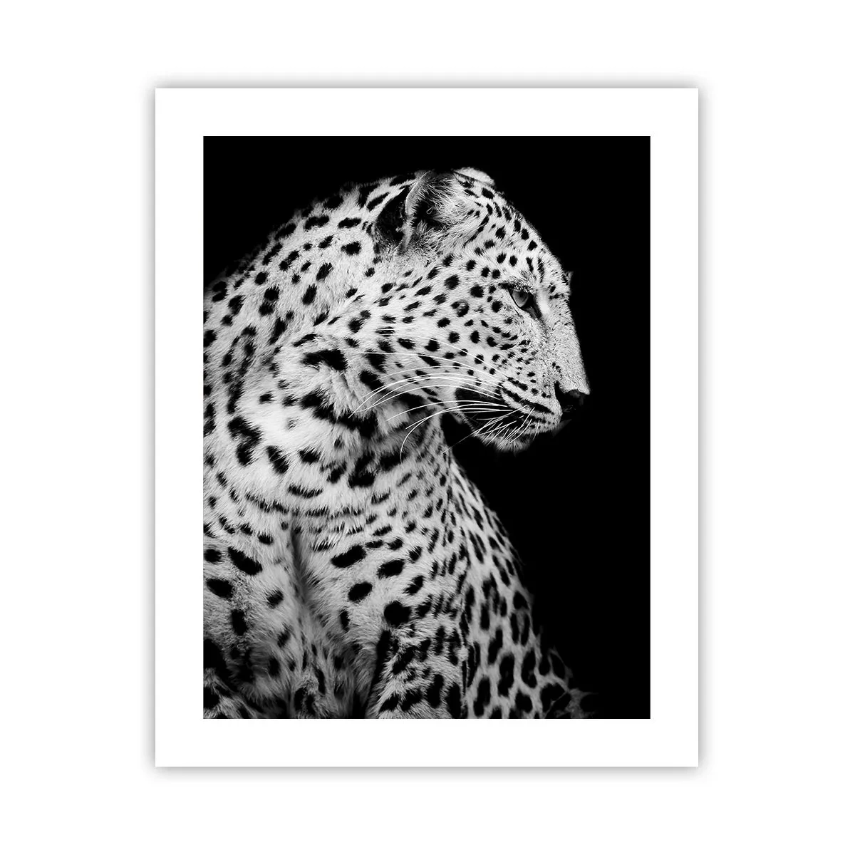 Poster - Rechtes Profil perfekt! - 40x50 cm