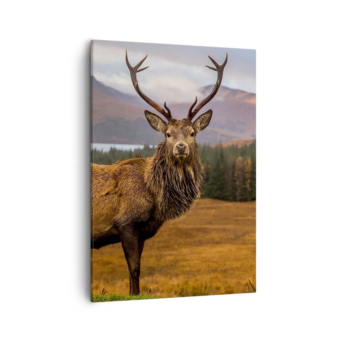 Bild auf Leinwand - Leinwandbild - Ein Hirsch vor der Kulisse einer Berglandschaft mit Seen und Wäldern - 50x70cm - Die Majestät der Natur - Moderne Wanddekoration für Wohnzimmer und Schlafzimmer ARTTOR