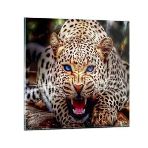 Glasbild - Bild auf glas - Schönheitswut tut nicht weh - 30x30 cm