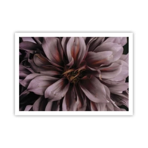 Poster - Nahaufnahme einer großen Blume in dezenten Farben - 100x70cm - Ein Blumenherz - Moderne Wanddekoration für Wohnzimmer und Schlafzimmer ARTTOR