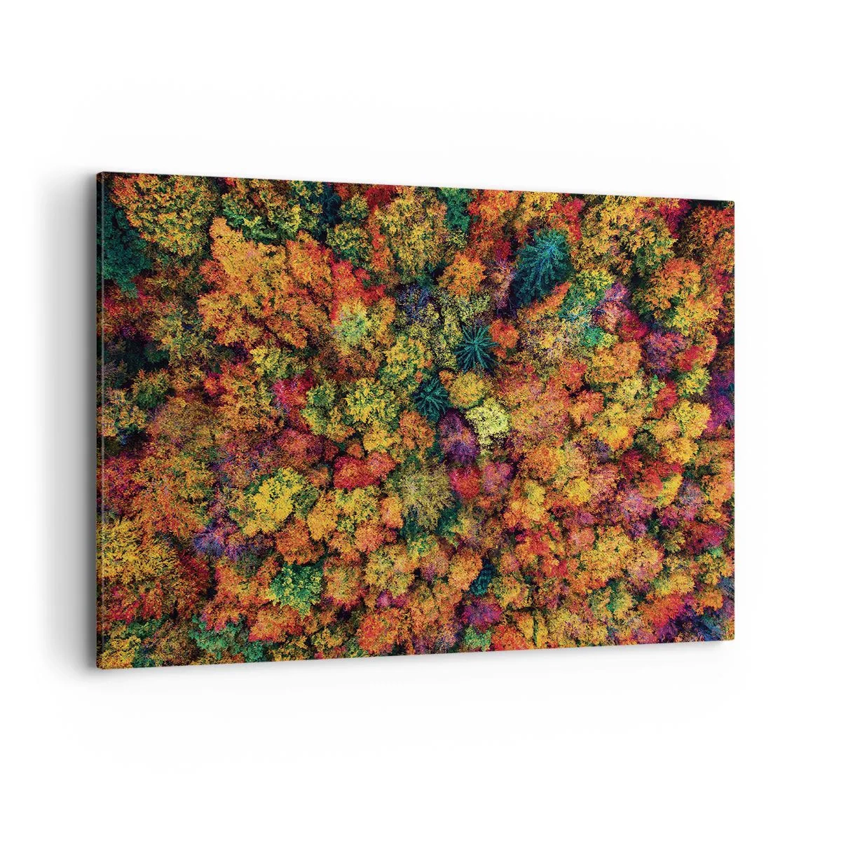 Bild auf Leinwand - Leinwandbild - Bunte Baumkronen in der Herbstpalette - 100x70cm - Blumenstrauß aus Herbstbäumen - Moderne Wanddekoration für Wohnzimmer und Schlafzimmer ARTTOR