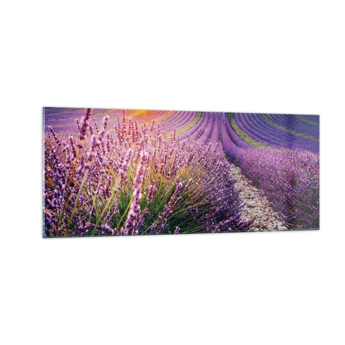Glasbild - Bild auf glas - Duftende Kornfelder - 100x40 cm