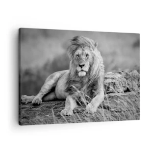 Bild auf Leinwand - Leinwandbild - Löwe ruht auf einem Felsen im monochromen Stil - 70x50cm - Königliche Siesta - Moderne Wanddekoration für Wohnzimmer und Schlafzimmer ARTTOR