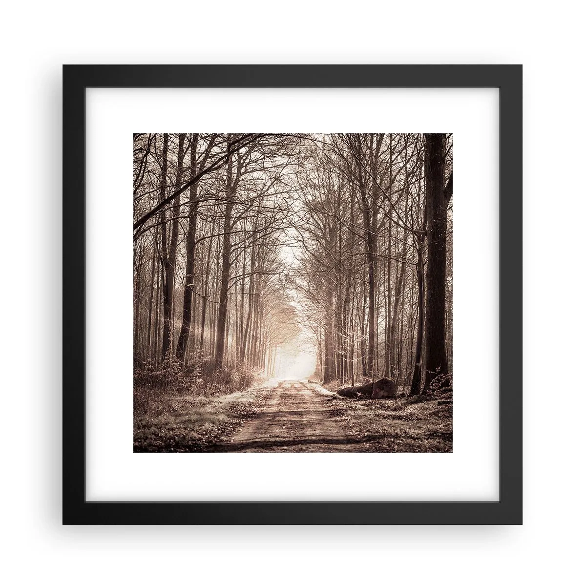 Poster in einem schwarzem Rahmen - Waldkathedrale - 30x30 cm