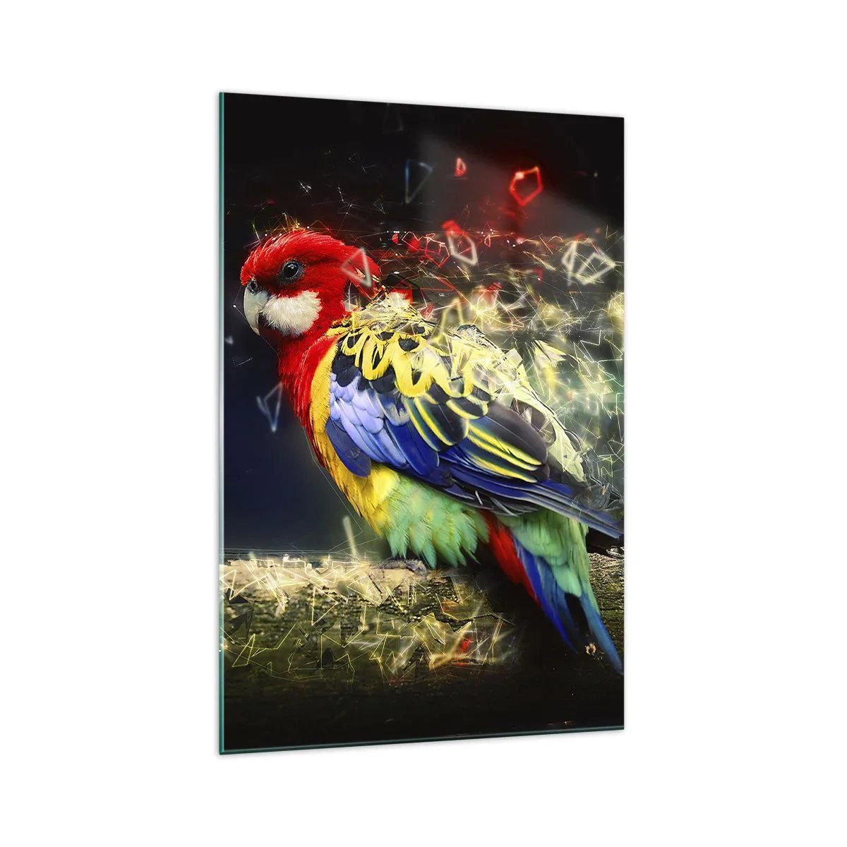 Glasbild - Bild auf glas - Ein Papagei in leuchtenden Farben vor einem Hintergrund aus Lichteffekten - 70x100cm - Botschafter des Strahlens - Moderne Wanddekoration für Wohnzimmer und Schlafzimmer ARTTOR