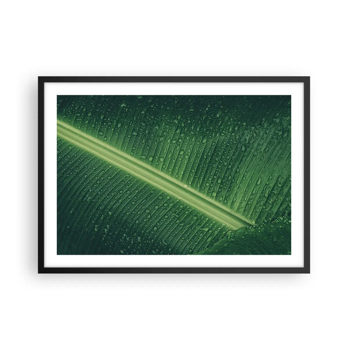 Poster in einem schwarzem Rahmen - Ein grünes Blatt mit Wassertropfen auf der Oberfläche - 70x50cm - Die Struktur des Grüns - Moderne Wanddekoration für Wohnzimmer und Schlafzimmer ARTTOR
