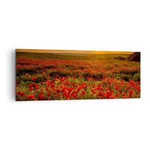 Bild auf Leinwand - Leinwandbild - Ein Feld mit roten Mohnblumen im Schein der untergehenden Sonne - 140x50cm - Unter den Wellen raschelnder Wiesen, unter den Blumen der Flut - Moderne Wanddekoration für Wohnzimmer und Schlafzimmer ARTTOR