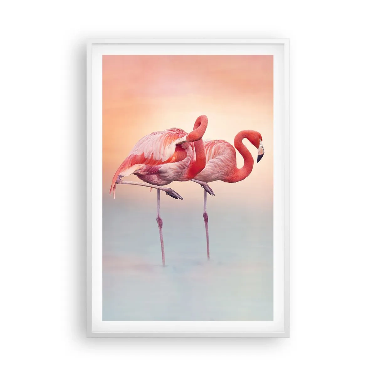 Poster in einem weißen Rahmen - Die Farbe der untergehenden Sonne - 61x91 cm