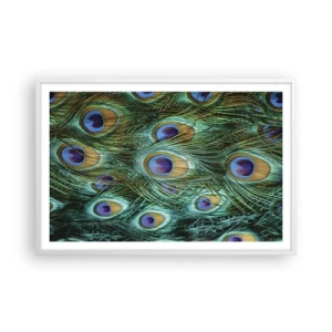 Poster in einem weißen Rahmen - Ein Blick mit Pfauenaugen - 91x61 cm