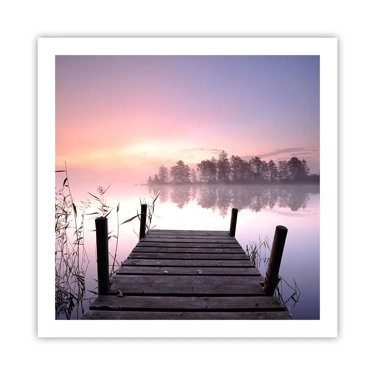 Poster - Aus dem lila Nebel ... - 60x60 cm