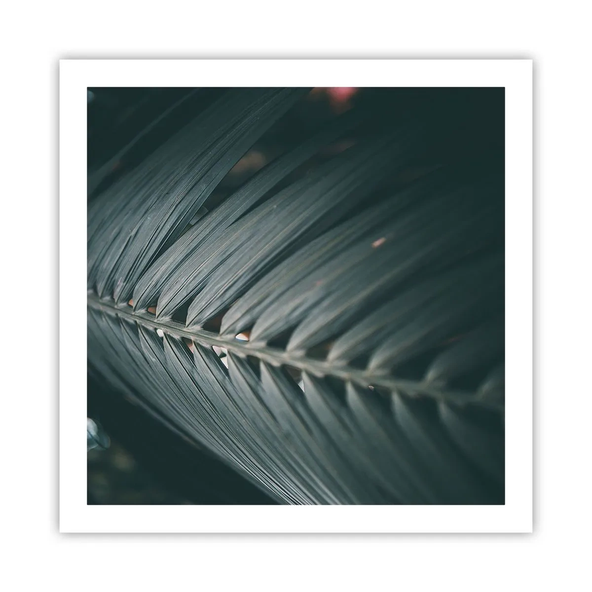 Poster - Die Präzision der Natur - 60x60 cm