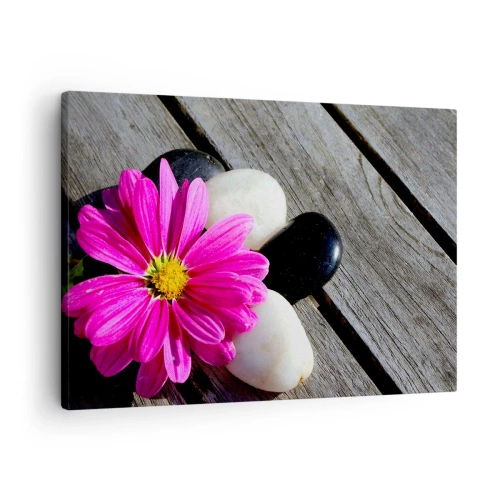 Bild auf Leinwand - Leinwandbild - Rosa Blume auf einem Hintergrund aus Holzbrettern mit Steinen - 70x50cm - Ruhe auf dem Pier - Moderne Wanddekoration für Wohnzimmer und Schlafzimmer ARTTOR