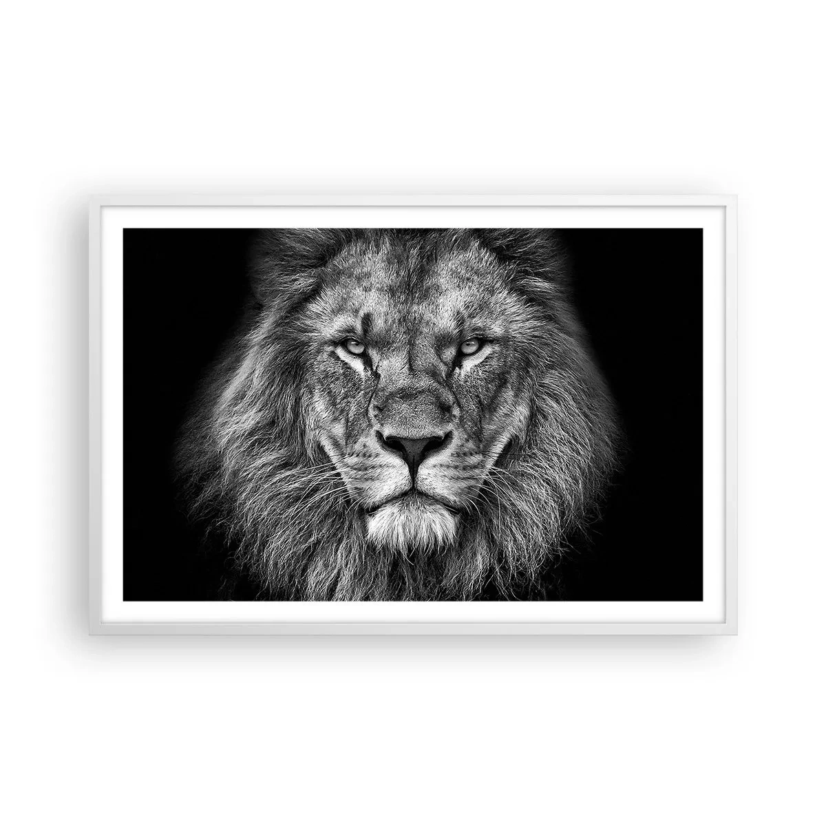 Poster in einem weißen Rahmen - Im Krönungsgewand - 91x61 cm