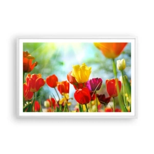 Poster in einem weißen Rahmen - Alle Farben der Sonne - 91x61 cm