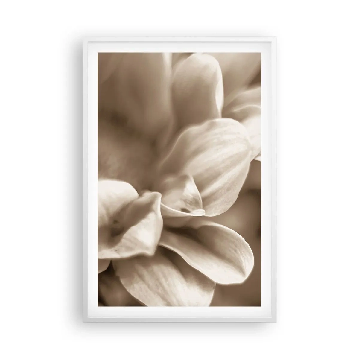 Poster in einem weißen Rahmen - So sanft wie ein Lächeln - 61x91 cm