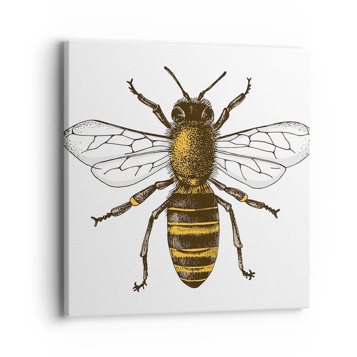 Bild auf Leinwand - Leinwandbild - Schön und gut - 40x40 cm