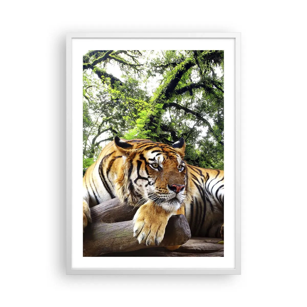 Poster in einem weißen Rahmen - Hochachtungsvoll - 50x70 cm