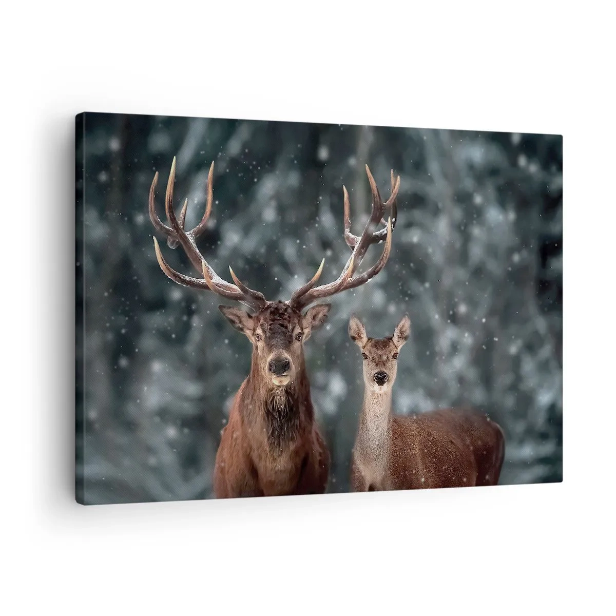 Bild auf Leinwand - Leinwandbild - Hirsche im verschneiten Winterwald - 70x50cm - Herr des Waldes mit seiner Frau - Moderne Wanddekoration für Wohnzimmer und Schlafzimmer ARTTOR