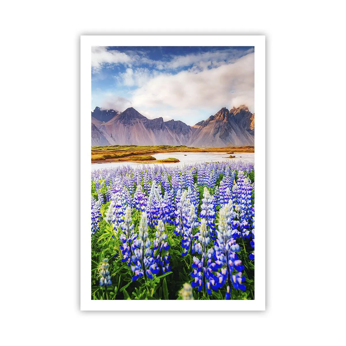 Poster - Kraft und Strenge neben Sanftmut - 61x91 cm