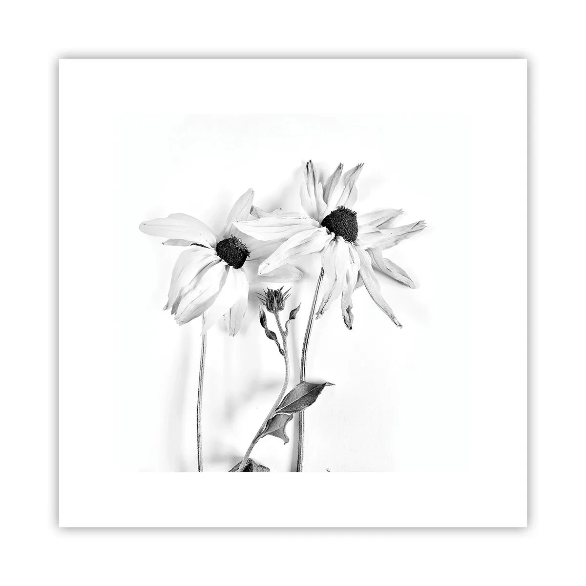 Poster - Niemand will allein sein - 30x30 cm