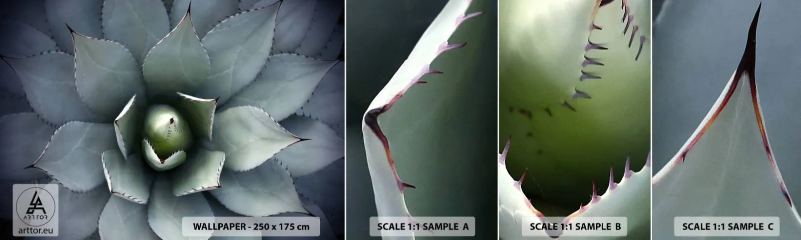 Fototapeten Muster Selbstklebend Deluxe Sticker - Es lockt an und warnt - Agavenblüte, Agave, Exotik - 100x30 cm