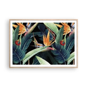 Poster in einem Rahmen aus heller Eiche - Flammende Blumen der Tropen - 100x70 cm