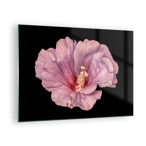 Glasbild - Bild auf glas - Nahaufnahme einer rosa Hibiskusblüte vor schwarzem Hintergrund - 70x50cm - Direkt ins Herz - Moderne Wanddekoration für Wohnzimmer und Schlafzimmer ARTTOR