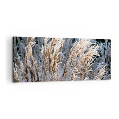 Bild auf Leinwand - Leinwandbild - Winterliche Grashalme mit Frost bedeckt vor einem dunkelgrünen Hintergrund - 120x50cm - Gekleidet mit Frost - Moderne Wanddekoration für Wohnzimmer und Schlafzimmer ARTTOR