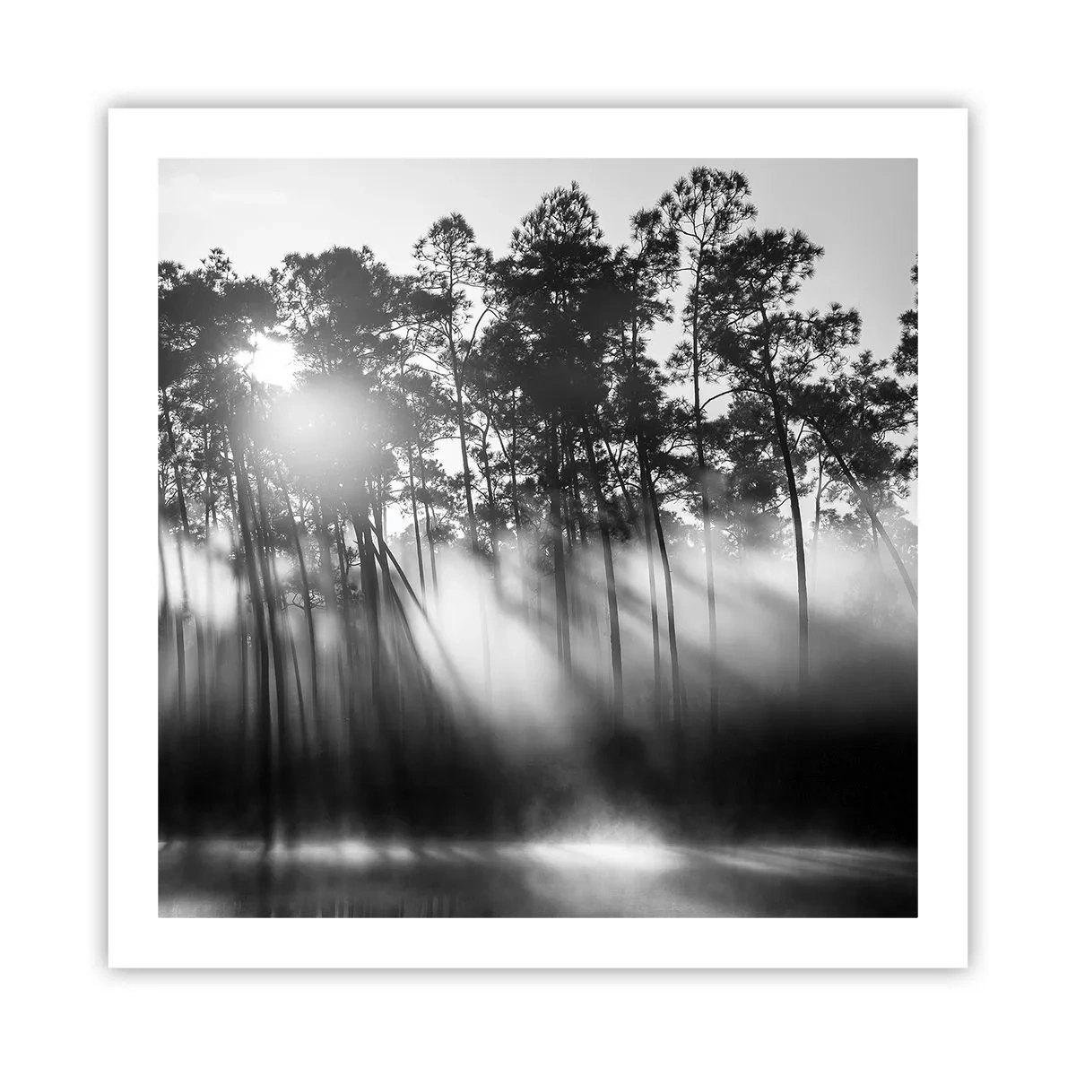 Poster - Unaufhaltsame Sonne - 60x60 cm