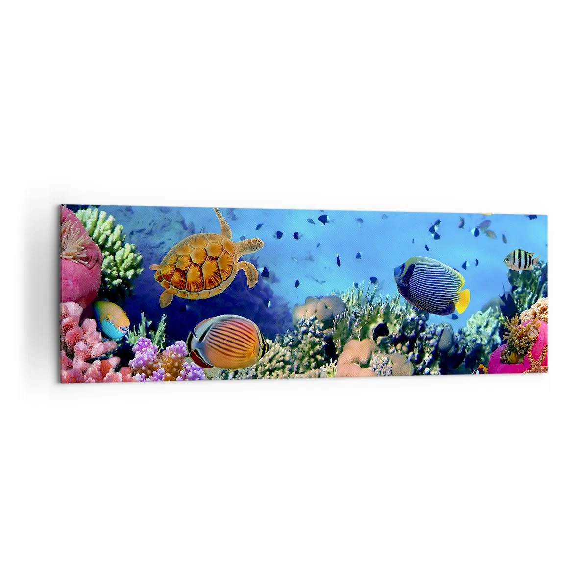 Bild auf Leinwand - Leinwandbild - Korallenriff mit bunten Fischen und einer Meeresschildkröte - 160x50cm - Und was wissen wir über das Leben ... - Moderne Wanddekoration für Wohnzimmer und Schlafzimmer ARTTOR