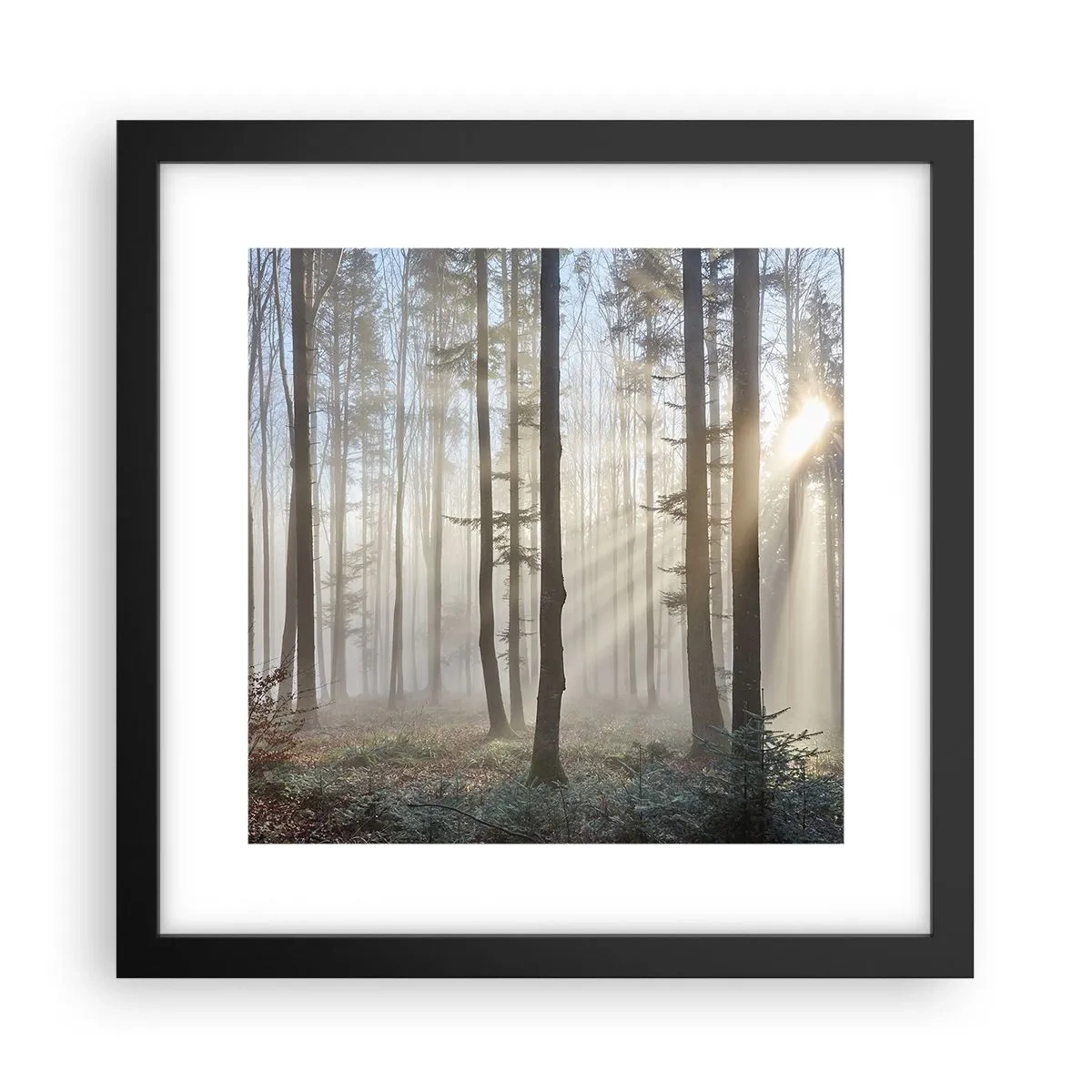 Poster in einem schwarzem Rahmen - Der Nebel ist auch aufgewacht - 30x30 cm