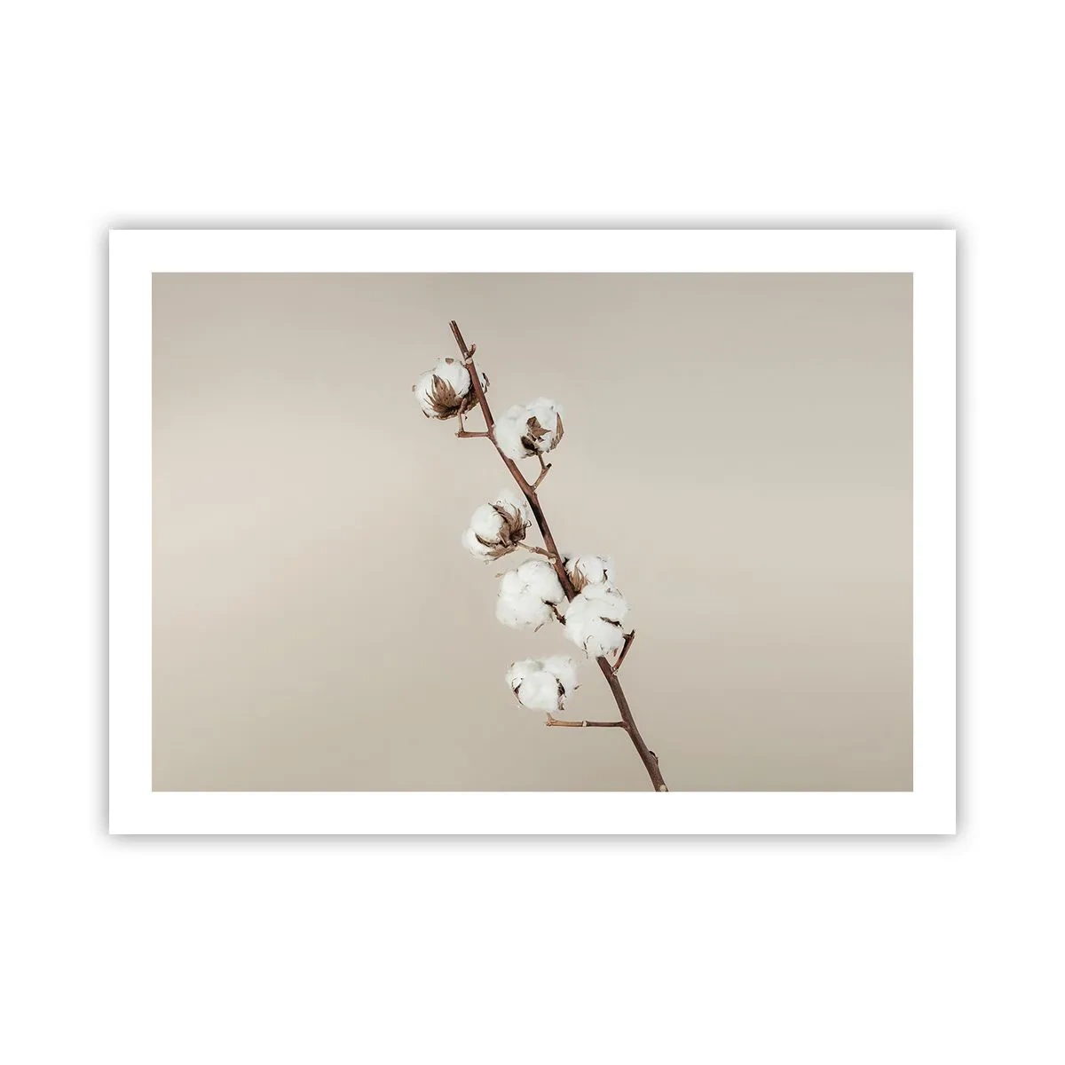 Poster - An der Quelle der Weichheit - 70x50 cm