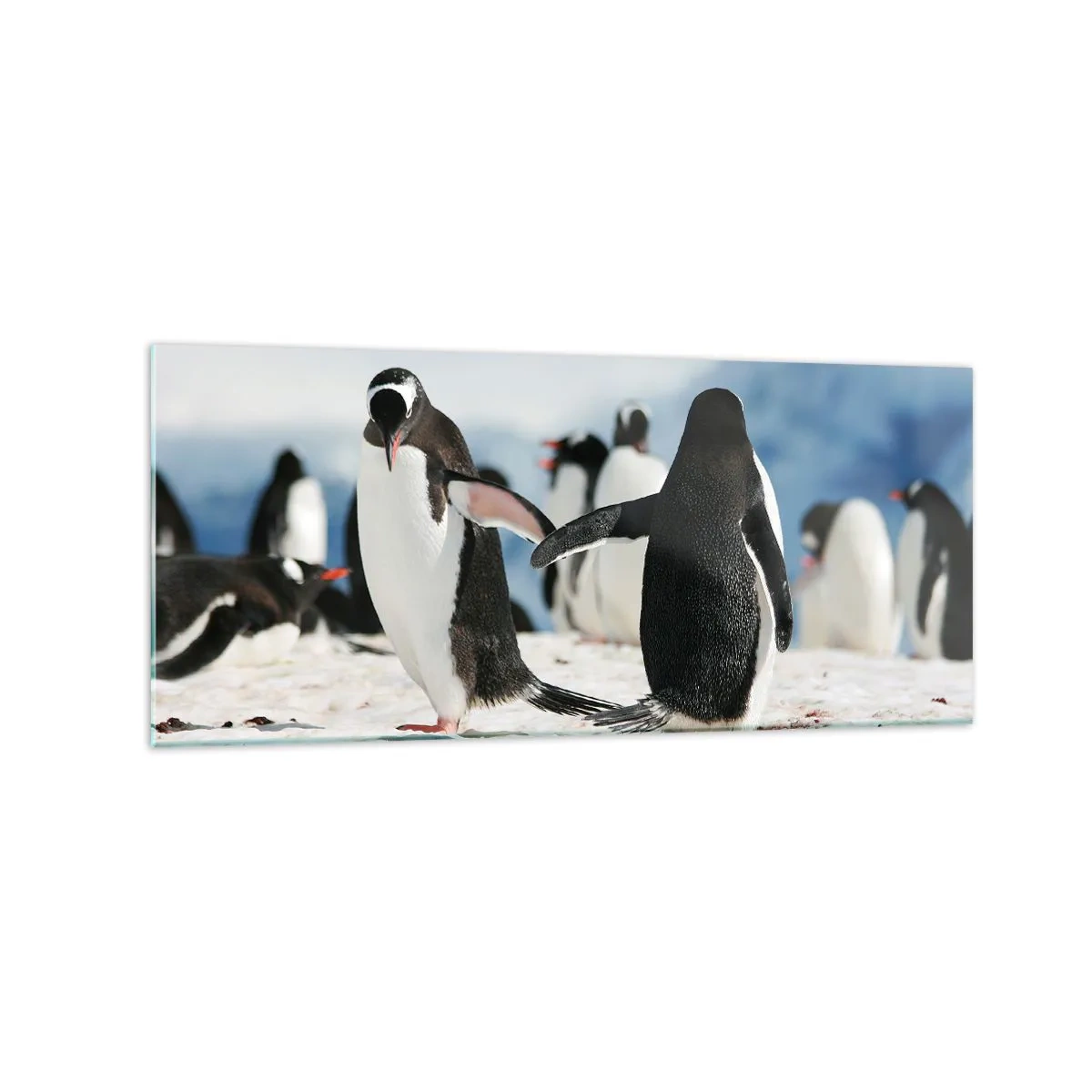 Glasbild - Bild auf glas - Eine Gruppe Pinguine im Schnee in einer antarktischen Landschaft - 120x50cm - Tanzen im Schnee - Moderne Wanddekoration für Wohnzimmer und Schlafzimmer ARTTOR