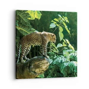 Bild auf Leinwand - Leinwandbild - Auf die Jagd? - 30x30 cm