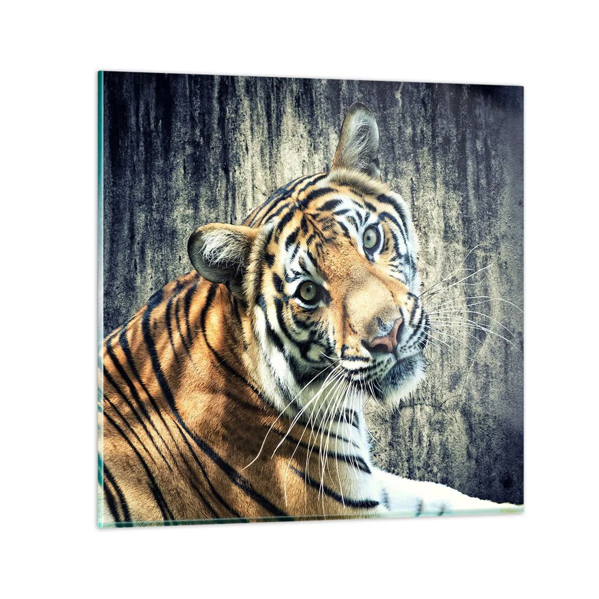 Glasbild - Bild auf glas - Portrait in Lichtstrahlen - 70x70 cm