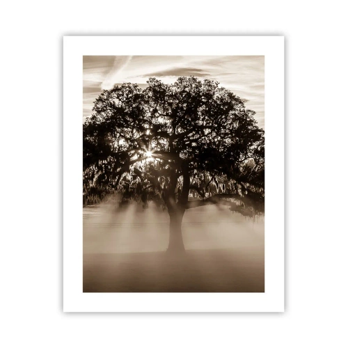 Poster - Baum der guten Nachrichten - 40x50 cm