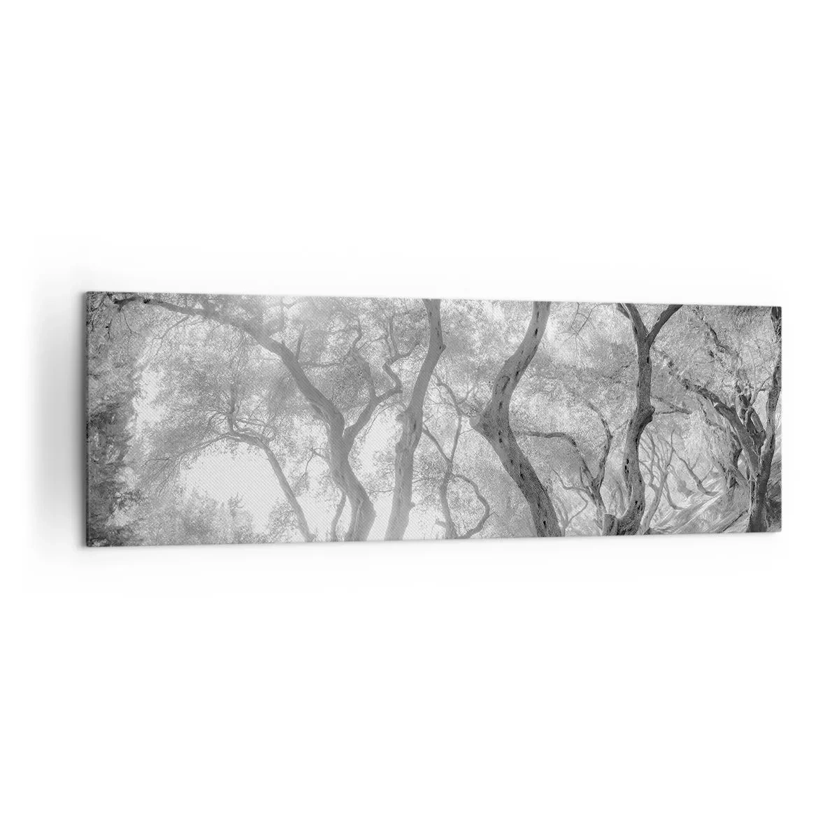 Bild auf Leinwand - Leinwandbild - Schwarz-Weiß-Ansicht von Bäumen in einem Olivenhain mit Sonnenstrahlen - 160x50cm - Im Olivenhain - Moderne Wanddekoration für Wohnzimmer und Schlafzimmer ARTTOR