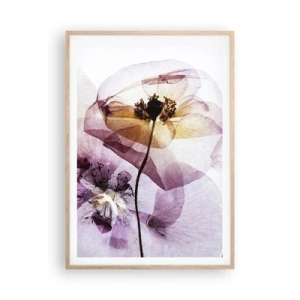 Poster in einem Rahmen aus heller Eiche - Transparente Körperblumen - 70x100 cm