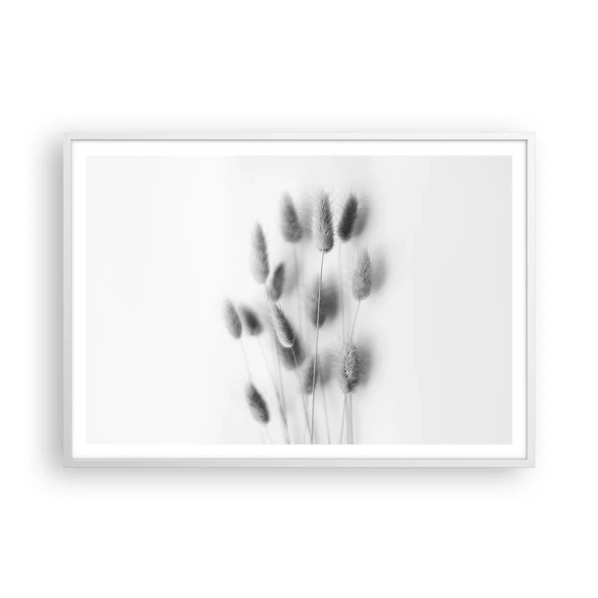 Poster in einem weißen Rahmen - Eure flauschige Grashoheit - 100x70 cm