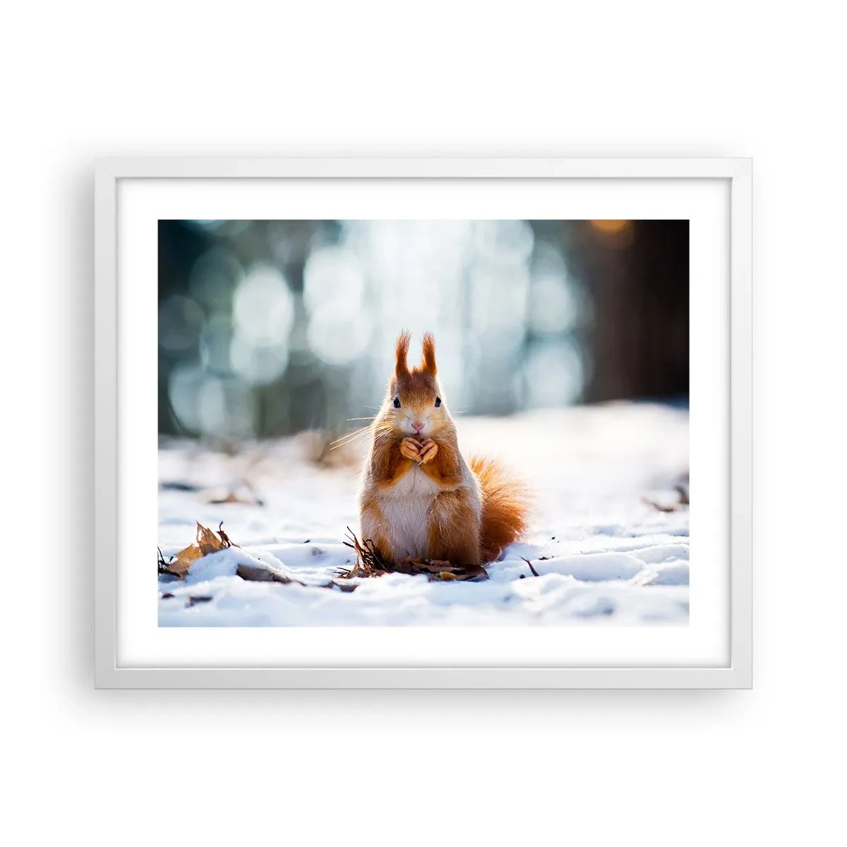 Poster in einem weißen Rahmen - Wo schaust du hin? - 50x40 cm