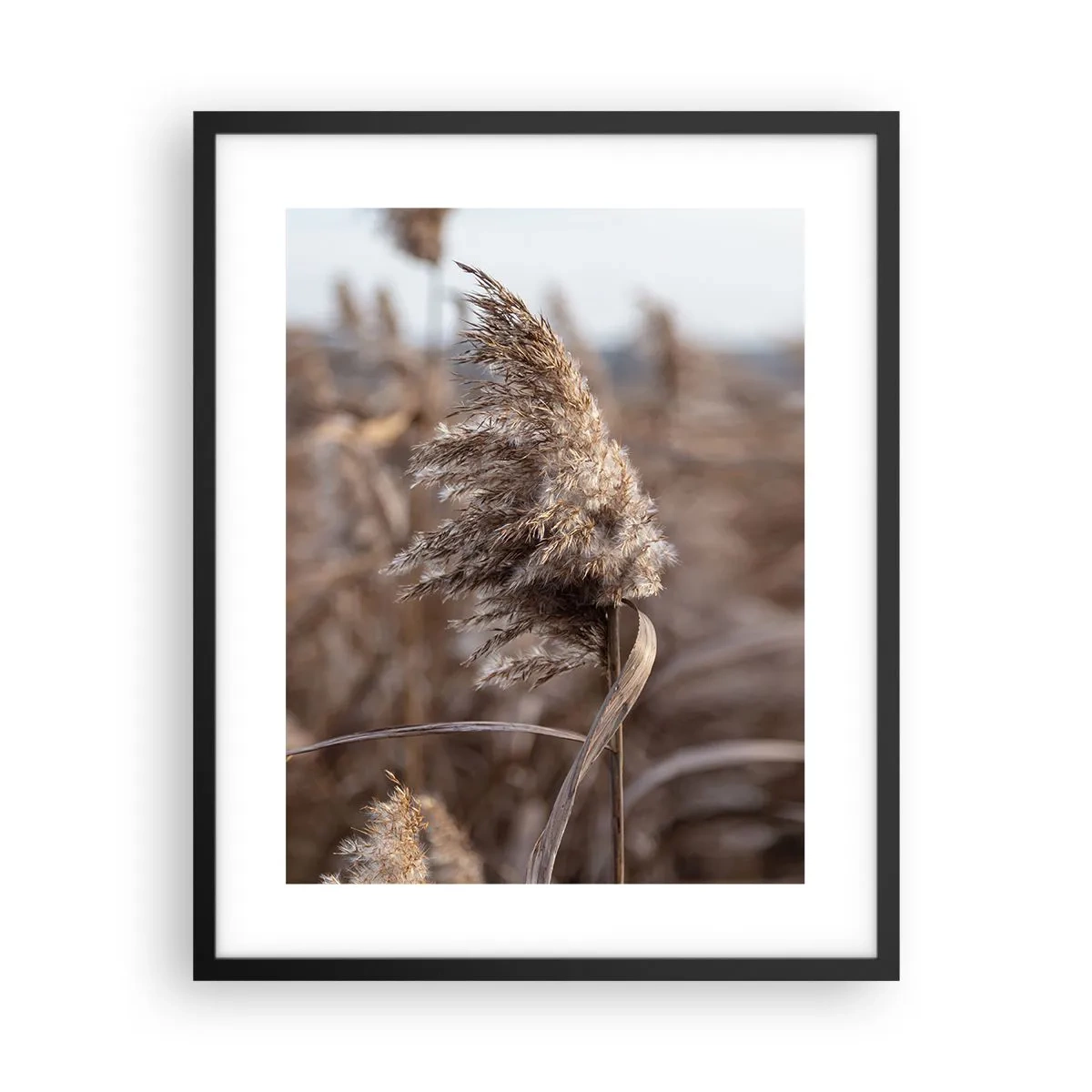 Poster in einem schwarzem Rahmen - Zeit, mit dem Wind zu gehen - 40x50 cm
