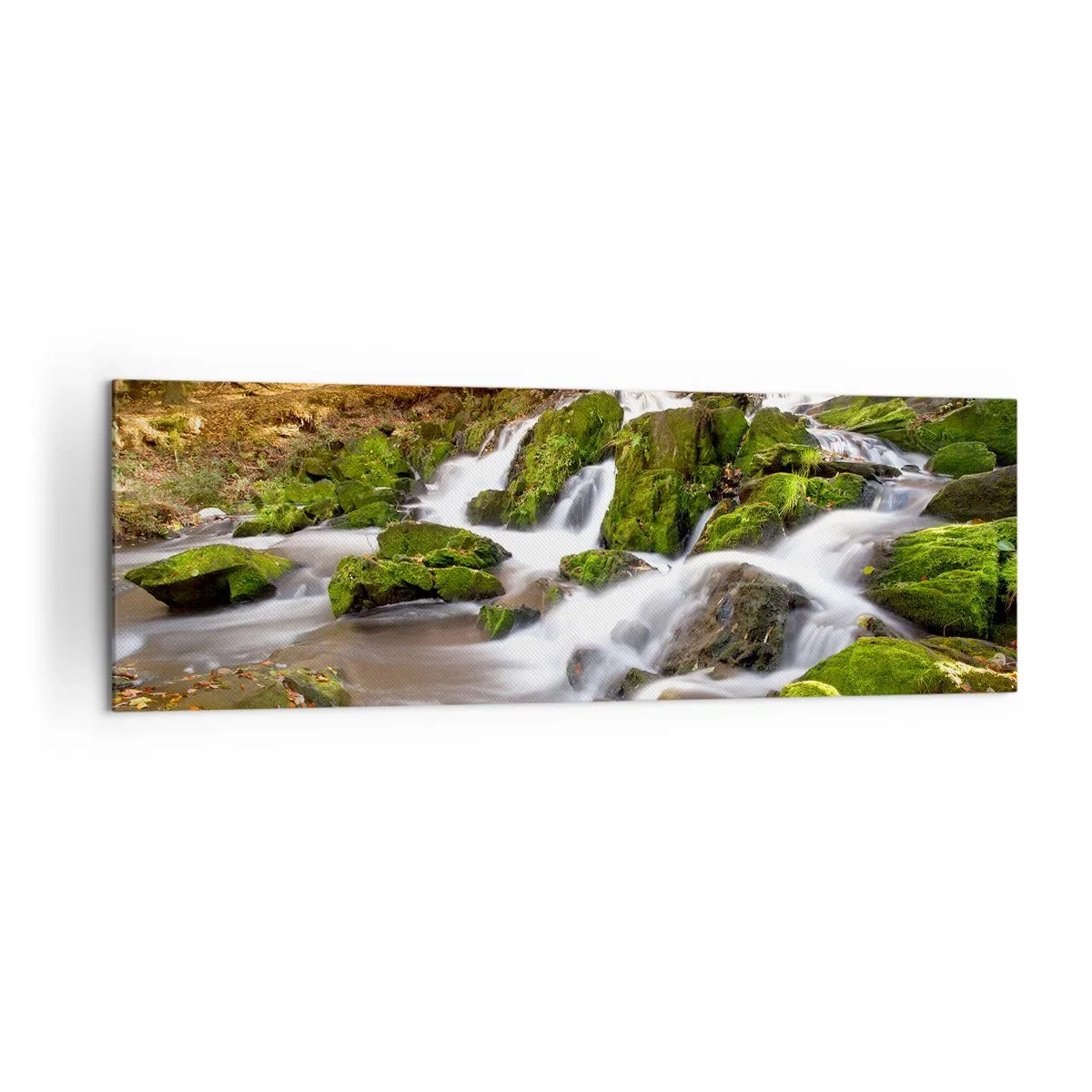 Bild auf Leinwand - Leinwandbild - Eine bewaldete Landschaft mit einem von Moos umgebenen Wasserfall - 160x50cm - Rasch durch den herbstlichen Wald - Moderne Wanddekoration für Wohnzimmer und Schlafzimmer ARTTOR