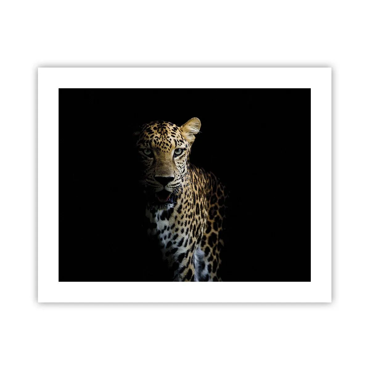 Poster - Dunkle Schönheit - 50x40 cm