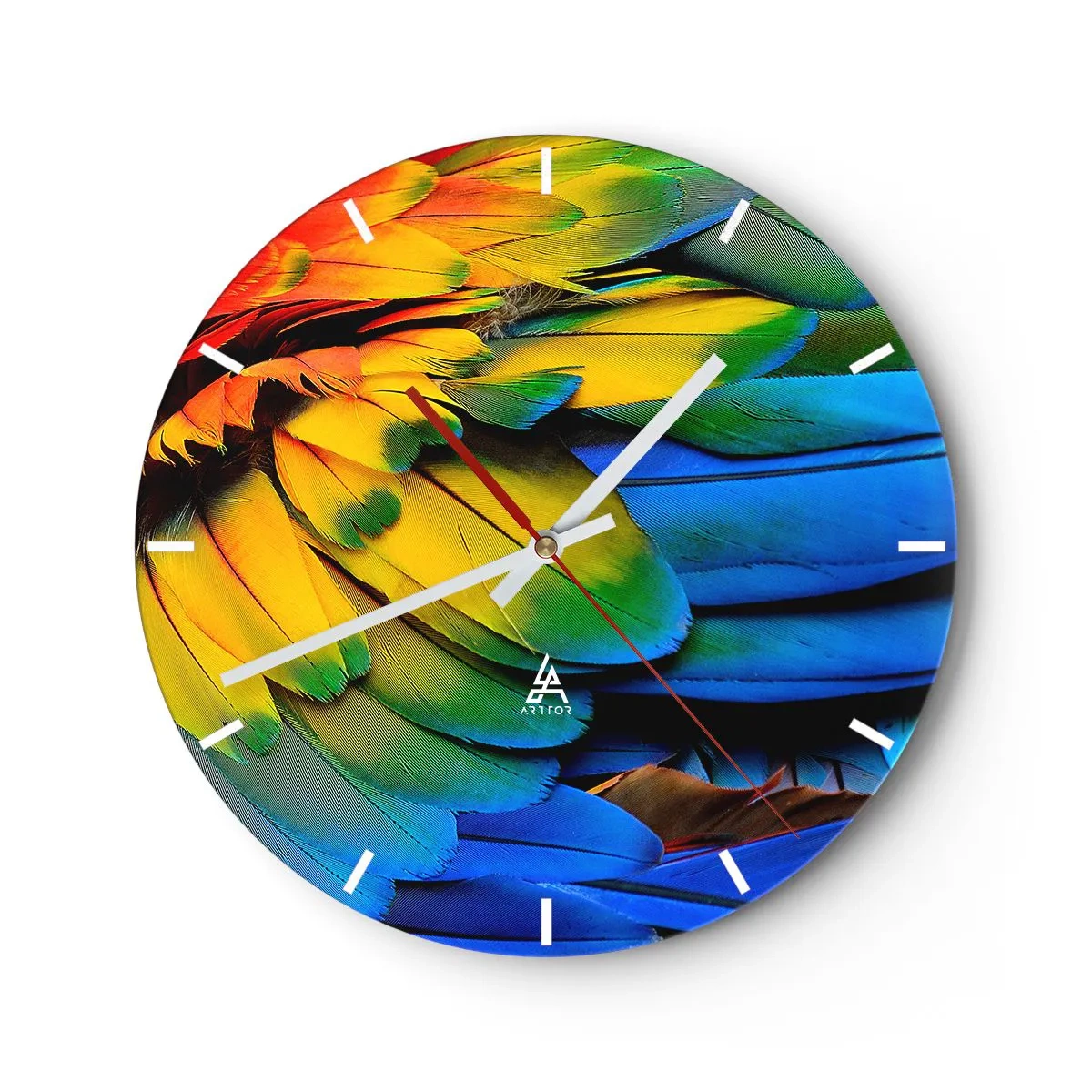 Wanduhr - Glasuhr - Die leuchtenden Federn eines tropischen Vogels - 30x30cm - Paradiesvogel - Moderne Wanddekoration für Wohnzimmer, Küche und Schlafzimmer ARTTOR