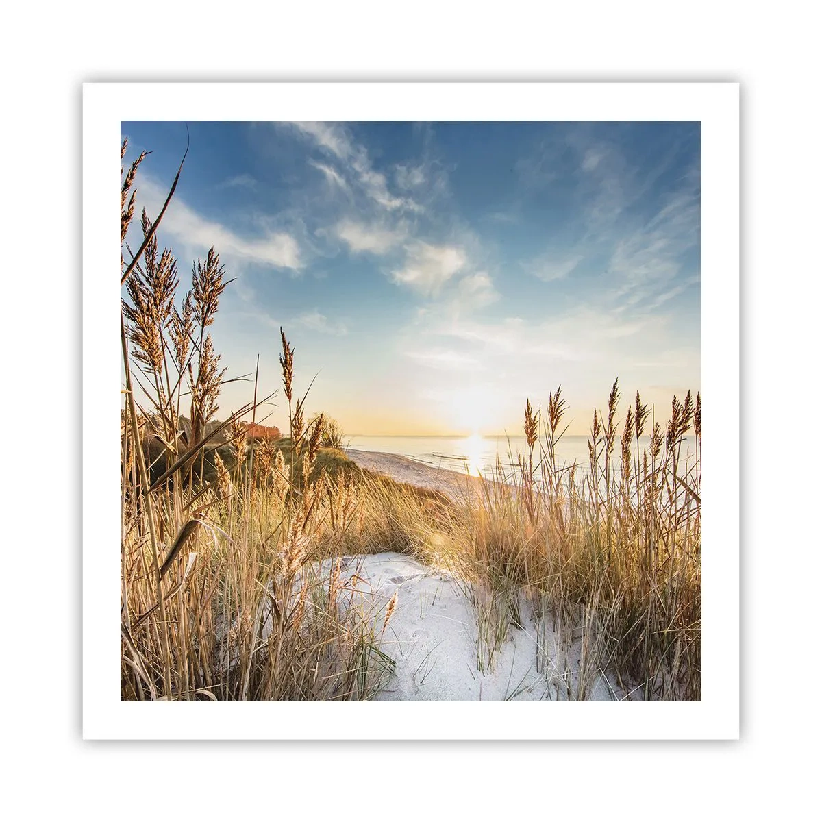 Poster - Nordstrand - 60x60 cm
